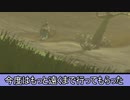 依頼を受けて、歌っているカッシーワさんが遠ざかったら歌の音声も小さくなるのか調べてみた