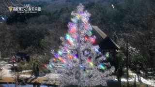 箱根ガラスの森美術館　クリスマス