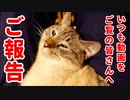 【ご報告】いつもデュフィの動画を観てくださっている皆さんへ