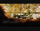maroph - 外苑にて