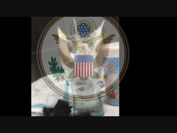 アメリカと化したインコ
