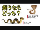 人の趣味・嗜好をどれだけ当てられますか【かたろーぐ】 part3