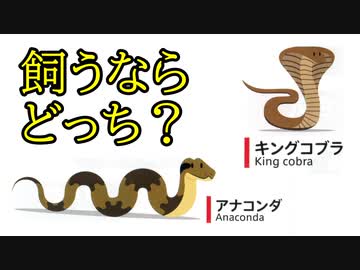 人の趣味・嗜好をどれだけ当てられますか【かたろーぐ】 part3