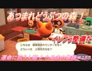 【あつ森】前人未島へようこそ！#155【あつまれどうぶつの森】