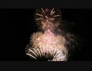 【2020】第11回 四ツ屋まつり 「打上花火」