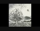 【BUMP OF CHICKEN】embraceをアコギで再び【弾いてみた】