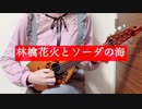 ✩˚｡林檎花火とソーダの海｡˚✩マンドリンで弾いてみた 【まふまふ誕生祭】