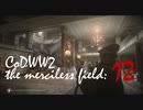 CoDWWⅡ the merciless field: 12