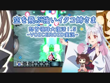 空を飛ぶ強いイタコ姉さま(1/N)【怒首領蜂大復活】