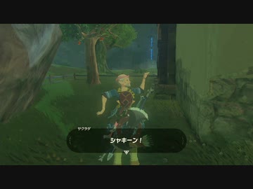 【実況】ハイラルソード　その27