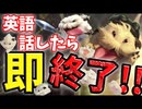 【LoR】英語話したら即終了！！【レジェンドオブルーンテラ】【ルーンテラ】【デッキ】【初心者】