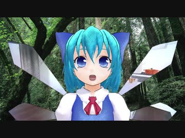 カリのとおり道