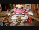 ワイドシュルク.mp4