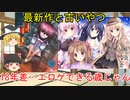 17年間で心に残ったエロゲ紹介　その16【ゆっくり解説】