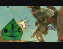 【ゆっくり実況】ウルフリンクと逝く弱体化縛りinBotW その２０