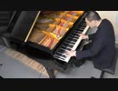 【ブラームス】ハンガリー舞曲　第1番を弾いてみた【ピアノ】
