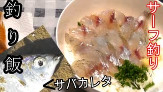 【ぴ】釣って海鮮丼作って食べよう！クロサギ