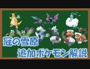 【ポケモン剣盾】最強のおっさん復活！！　冠の雪原で追加される飛行タイプを解説　前編【ゆっくり実況】