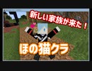 ほの猫クラ　新しい家族が出来ました！