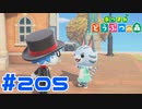 【実況】メイドのふくを着てもらうと尋常じゃない可愛さになります #205【あつまれどうぶつの森】