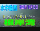 水中動画（2020年10月13日）in 根岸湾