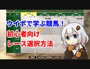 【2021でも応用可！】【初心者向けレース選択方法】ウイニングポスト9 2020 【ウイポで学ぶ競馬】