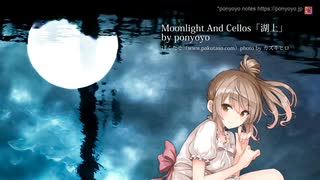 Moonlight And Cellos「湖上」 feat.さとうささら