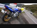 2020 Salvage Touring Report 5