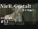 【NieR Gestalt】2回目の世界【part53】