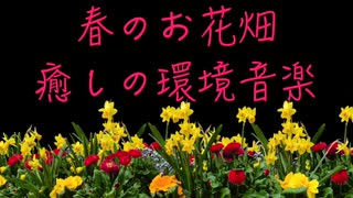 【睡眠用環境音】北海道のお花畑の匂いが広がる、雄大な自然で心が浄化されるBGM