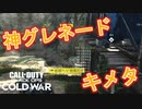 ベータ初プレイ！【CoD:BOCW β実況】part1