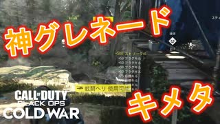 ベータ初プレイ！【CoD:BOCW β実況】part1