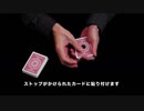 263 ブラックスポット