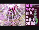【東方妖々夢】結月ゆかり狂気のお花見（後編）