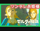 【ゼルダの伝説BotW】バクダンで大体のことは解決する大冒険 part36【実況】