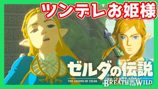 【ゼルダの伝説BotW】バクダンで大体のことは解決する大冒険 part36【実況】