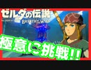 【ゼルダの伝説BotW】パート36でカットした「力の試練 極意」【実況】