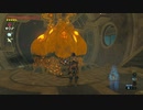 【実況】だらだら喋りながらやるゼルダの伝説 BREATH OF THE WILD Part.063【初見】