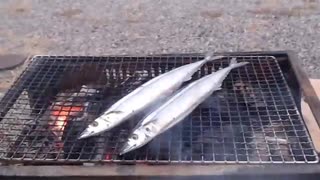 秋刀魚を焼いてみた