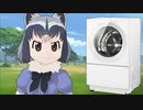 ドラム式洗濯機をオススメするフレンズ【MMDけもフレ】