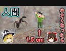 人間が小さくなったらどうなるのか？【ゆっくり解説】