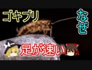 ゴキブリはなぜ足が速いのか【ゆっくり解説】