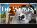 【一筆パズル♯23】国立公園でパズルハイキングする不思議なゲーム【The Witness】