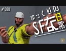 ゆっくりのストリートファイターな日常 #８０【ゆっくり実況】
