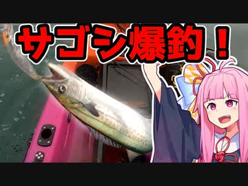 【VOICEROIDフィッシング】楽しいカヤックフィッシング #2 サゴシ祭り編