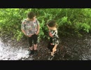 Kirrie Den Stream