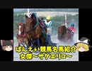 ばんえい競馬名馬紹介～女傑「サダエリコ」～