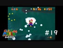 【スーパーマリオ３Dコレクション】のんびりプレイ #19