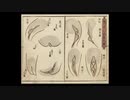 test2 様々な形状の女性器