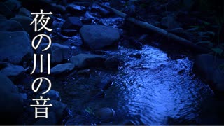 【音散歩】夜の川と秋の虫の音